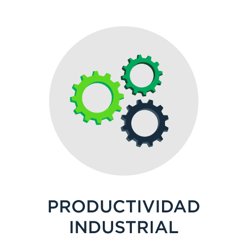 Productividad Industrial